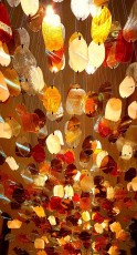 Abstract Lights