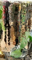 Botanical Reflection 1