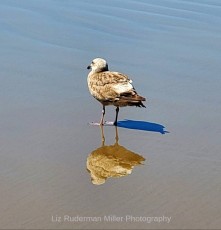 Reflection on the Beach