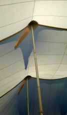 Under The Big Top