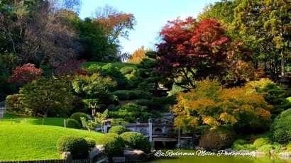 Autumn in New York