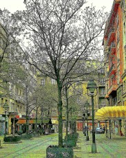 Early Spring In Belgrade