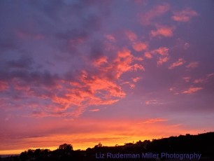 Summer-Sunset-Liz-Miller