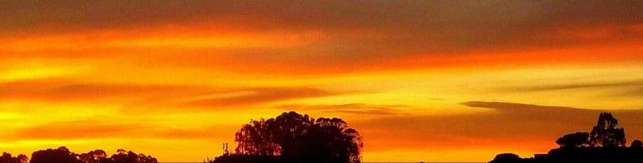 Ribbon Sunset